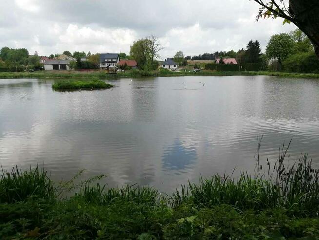 Działka o pow. 4,6 ha w Klementowicach gm. Kurów.