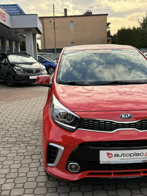 Kia Picanto 1.2 84 GT Line, Kamera, Navi, Perła, Gwarancja