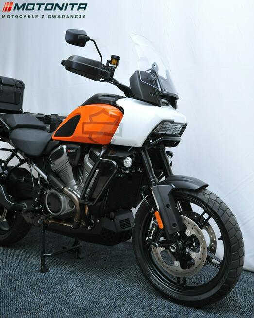 Harley-Davidson Nightster Harley-Davidson Pan America Special, salon PL, gwarancja MOTONITA