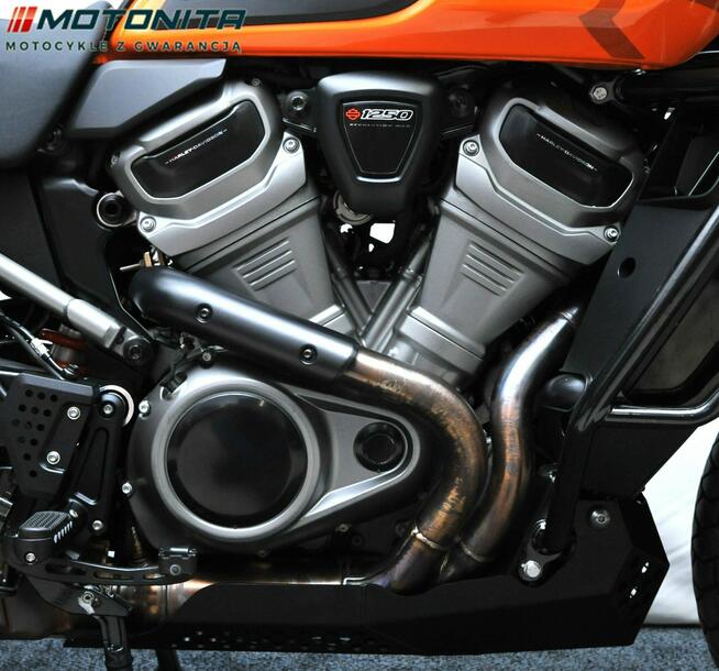 Harley-Davidson Nightster Harley-Davidson Pan America Special, salon PL, gwarancja MOTONITA