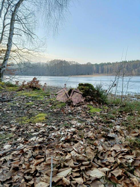 Działka leśna Kamienicki Młyn gm. Sierakowice,