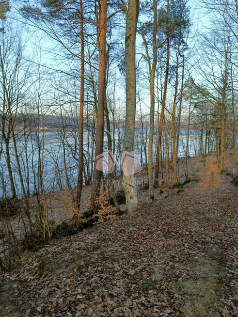 Działka leśna Kamienicki Młyn gm. Sierakowice,