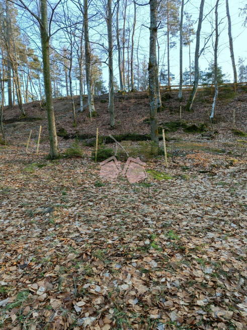 Działka leśna Kamienicki Młyn gm. Sierakowice,