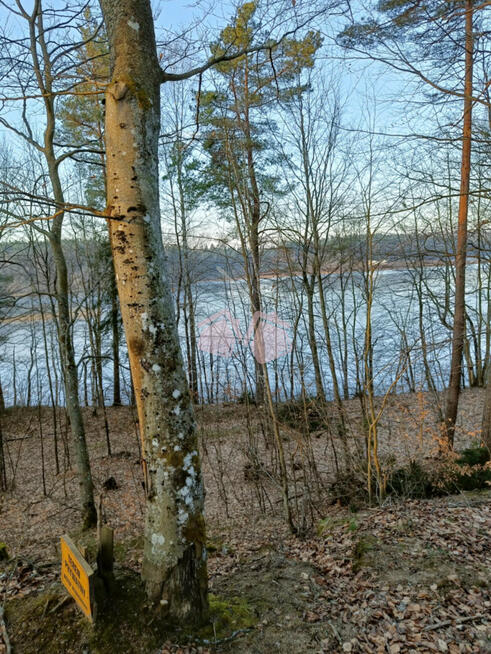 Działka leśna Kamienicki Młyn gm. Sierakowice,