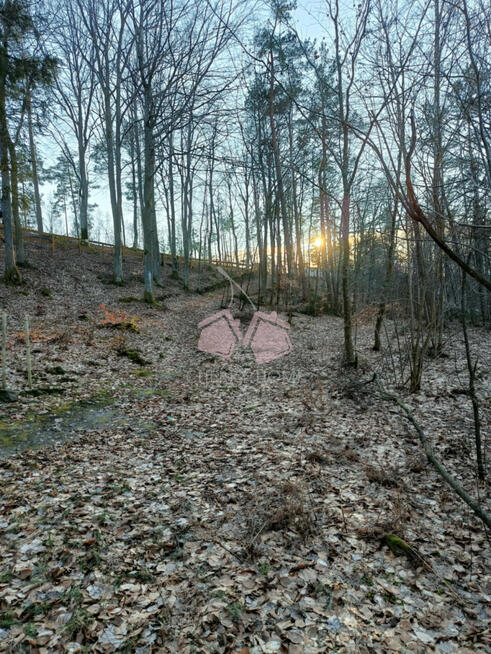 Działka leśna Kamienicki Młyn gm. Sierakowice,