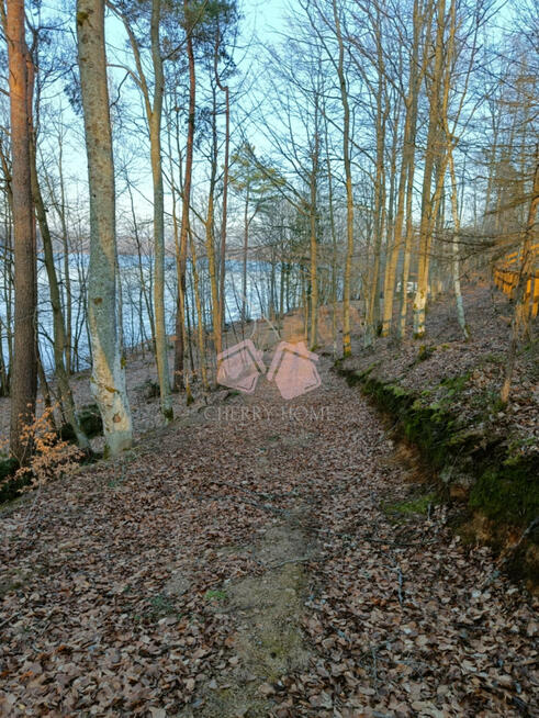 Działka leśna Kamienicki Młyn gm. Sierakowice,