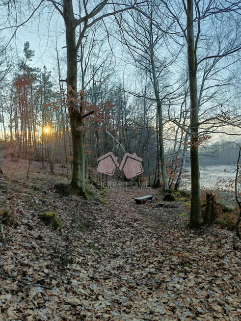 Działka leśna Kamienicki Młyn gm. Sierakowice,