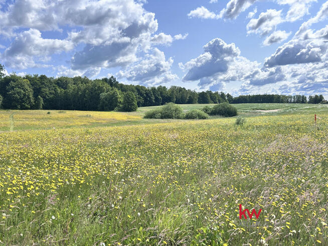 Działka budowlana Jaromierz gm. Gardeja,