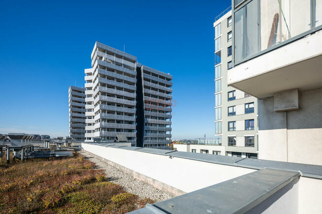 Mieszkanie Wrocław Stare Miasto, Stare Miasto, Podwale