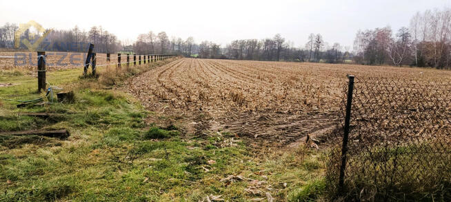 Działka budowlana Zakrzew gm. Nowa Sucha,