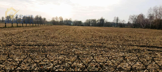 Działka budowlana Zakrzew gm. Nowa Sucha,
