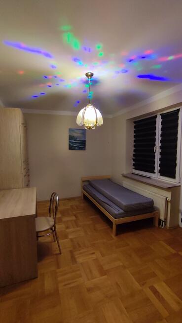 Przestronne mieszkanie przy lesie - na wynajem