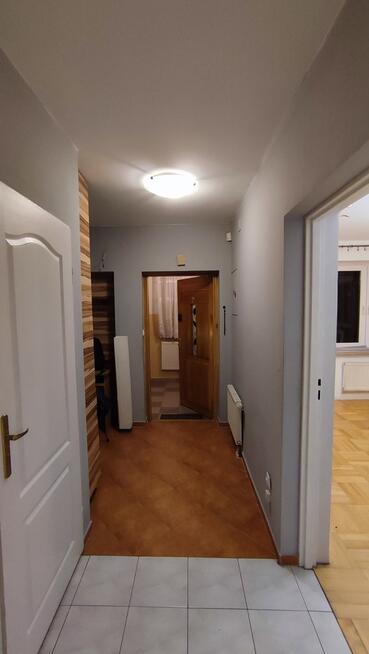 Przestronne mieszkanie przy lesie - na wynajem