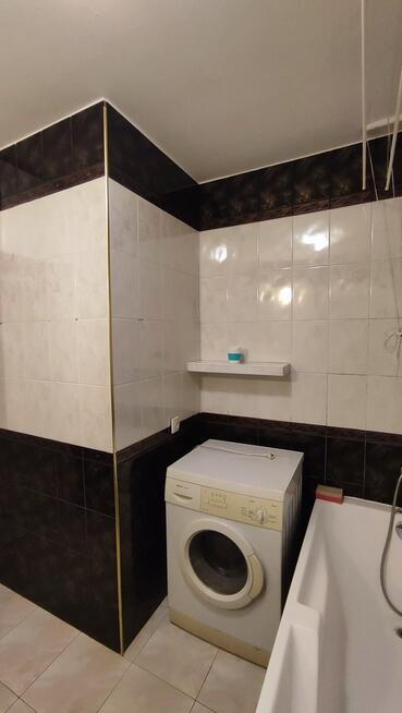 Przestronne mieszkanie przy lesie - na wynajem