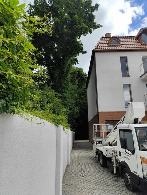 Wycinka pielęgnacja drzew ściąganie jemioły usuwanie posuszu