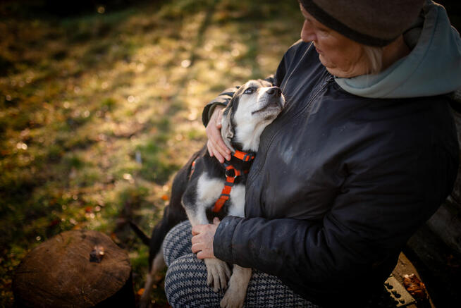 6 miesięczna Milka SZCZENIAK szuka domu!