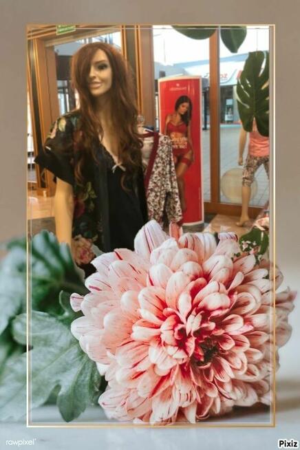 Praca lub staż w butiku z bielizną