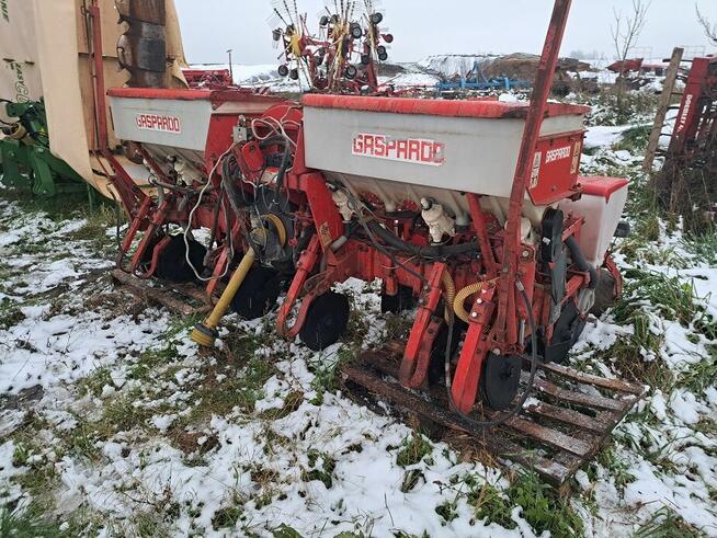 SIEWNIK 6 Gaspardo talerzowy/do kukurydzy