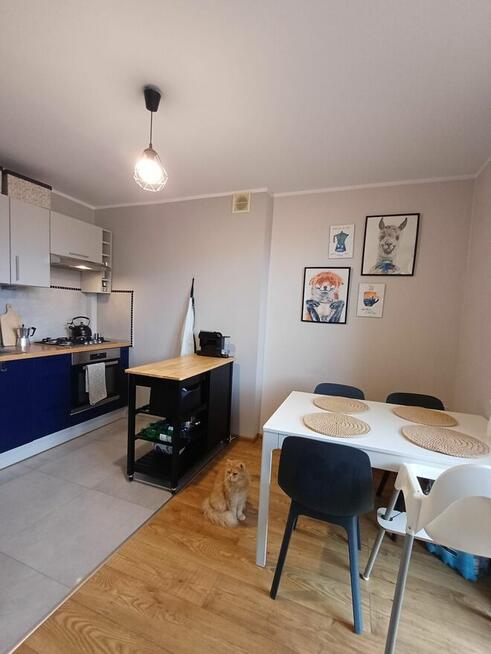 Brynów, 53 m2, 1. piętro, 2 balkony, po remoncie, wyposażone