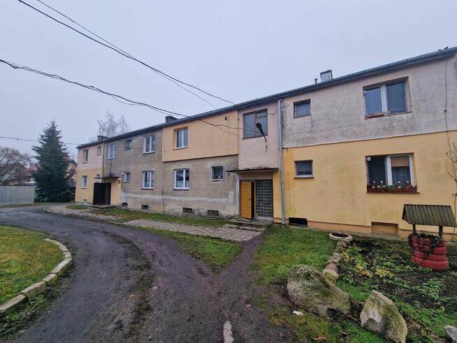 Lokal mieszkalny - Borki