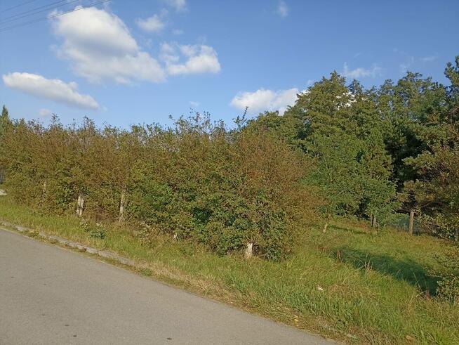 Sprzedam działkę budowlaną z zabudową – Lubsza, ul. Spacerow