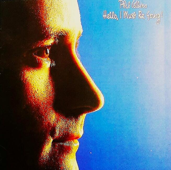 Polecam Album CD RICKY MARTIN -Album- The Best of CD