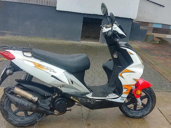 Skuter Longiia Exactly 50 LJ59QT-K