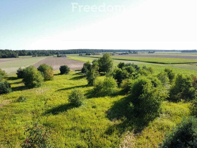 Urokliwa działka z domem i lasem - Twój azyl!