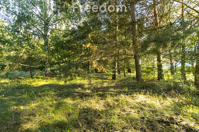 Urokliwa działka z domem i lasem - Twój azyl!