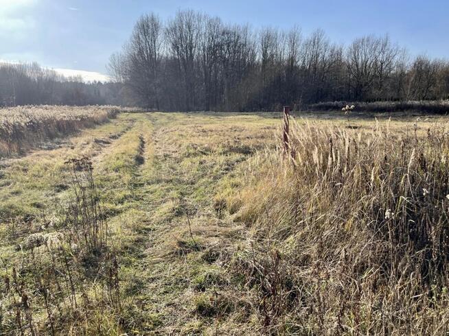 Truskaw – Działka na sprzedaż