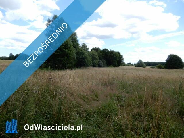 Syndyk sprzeda działki o numerze 10, 28/1, 223/1, 31/2, 240/1 - Trzeszyn (gmina Karnice, powiat gryf