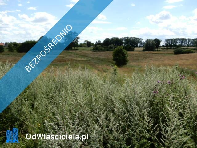 Syndyk sprzeda działki o numerze 240/2 oraz 31/3 - Trzeszyn (gmina Karnice, powiat gryficki) - cena