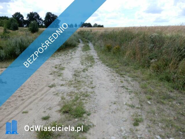 Syndyk sprzeda działki o numerze 257/1, 224 oraz 22/1 - Trzeszyn (gmina Karnice, powiat gryficki) -