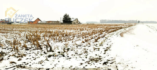 Działka rolna Leonów gm. Nowa Sucha,