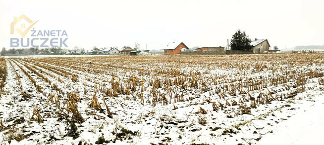 Działka rolna Leonów gm. Nowa Sucha,