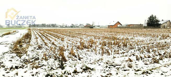 Działka rolna Leonów gm. Nowa Sucha,