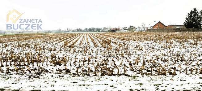 Działka rolna Leonów gm. Nowa Sucha,