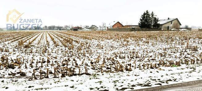 Działka rolna Leonów gm. Nowa Sucha,