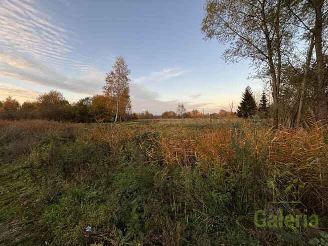 Działka w Dołujach z MPZP