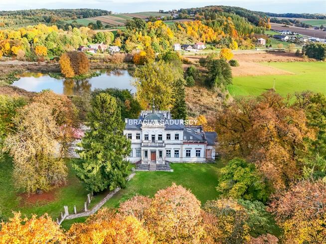 Lokal użytkowy Działoszyce Sancygniów