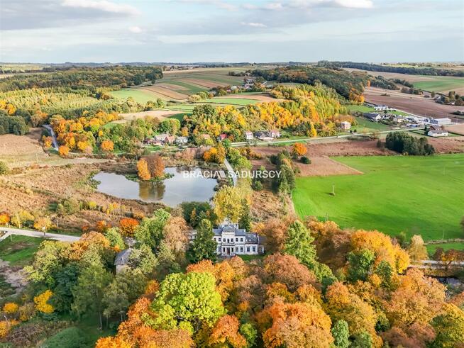 Lokal użytkowy Działoszyce Sancygniów