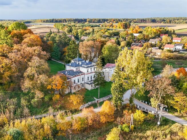 Lokal użytkowy Działoszyce Sancygniów