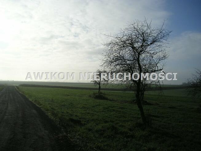 Działka Nowy Kawęczyn