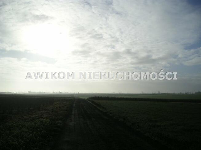 Działka Nowy Kawęczyn