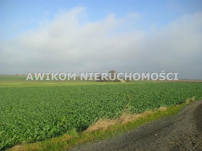 Działka Nowy Kawęczyn