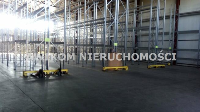 Lokal użytkowy Skierniewice