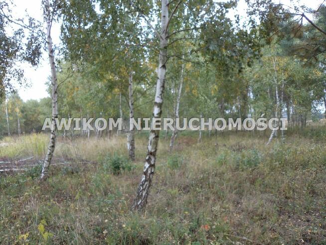 Działka budowlana Żabia Wola Jastrzębnik