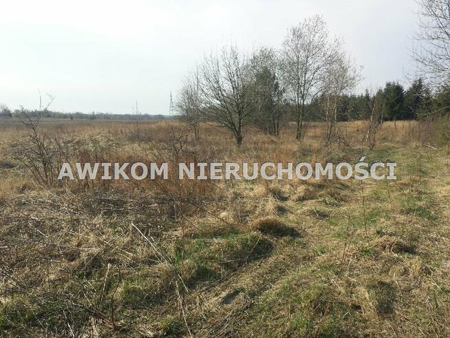 Działka rolna Mszczonów Szeligi