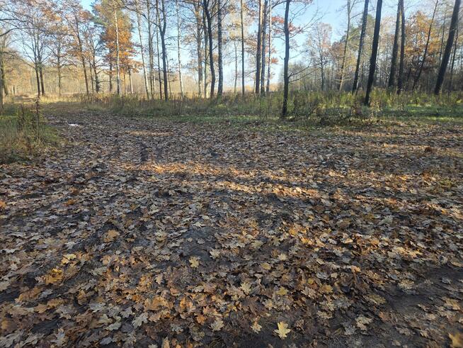 Działka przemysłowa Duchnów gm. Wiązowna, Leśny Zakątek