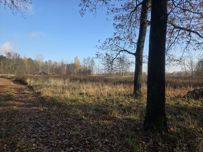 Działka przemysłowa Duchnów gm. Wiązowna, Leśny Zakątek